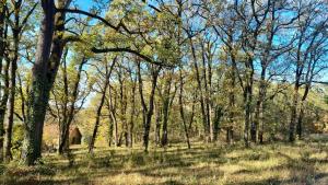 Maisons de vacances Charmante perigourdine en pleine nature : photos des chambres