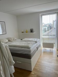 Amsterdam in Copenhagen