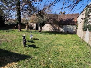 Appartements 2 pieces Ecueille, 20mn ZooBeauval : photos des chambres