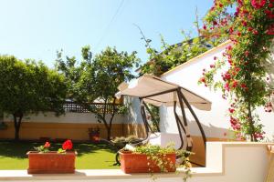 Casa do Sol - Turismo Rural - Nazaré Alcobaça