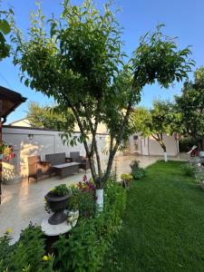 HolidayHouse-Navodari