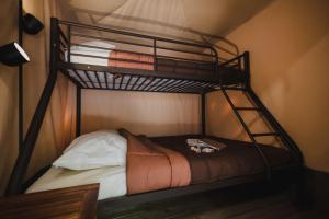 Tentes de luxe Camping Porte des Alpilles by M.A DESTINATION GLAMPING : photos des chambres