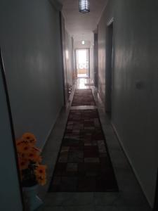 قرية ديمورا