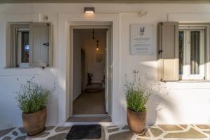 Lavender Minimal Studios