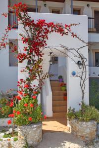 Giasemi Apartments Skopelos Greece