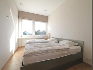 Apartment in Het Zoute with Sea Views