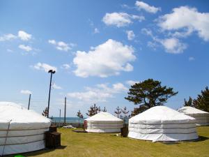 Kisakatamonngoruvirejji