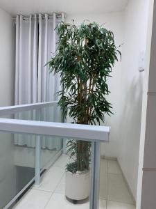 Casa Branca Garanhuns