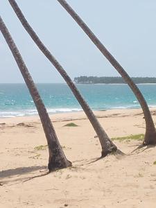 Punta cana life