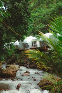 Glamping tent in Pelaga Eco Park