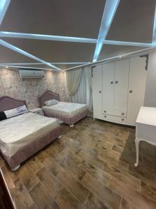 برج زيزينيا