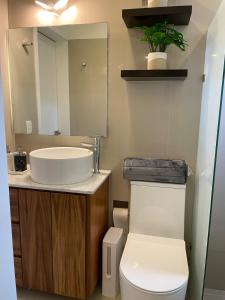 Excellent apartment in Chapalita, everything new