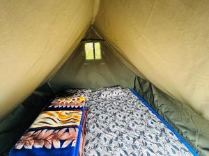 Shiya Camping By Eco Travellers