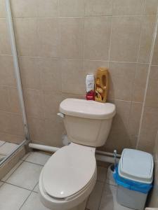 Barato y cómodo excelete ubicación Delfines