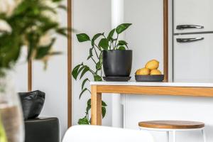 Sanctuary Spaces - Lomani Six