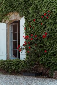 Maisons de vacances Le Domaine des Ormeaux : photos des chambres