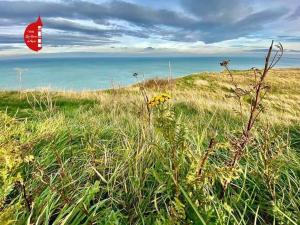 Appartements Le Clos D-illies : photos des chambres