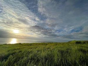 Appartements Le Clos D-illies : photos des chambres