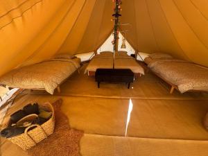 Glamping Mangoeste