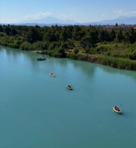 Juniperus Village House