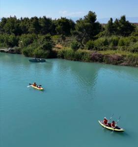 Juniperus Village House