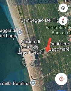 Lagomare Beneadriana