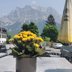 Pension Garni Hochmoos