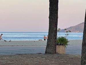 Maisons de vacances Entre Terre et Mer : photos des chambres