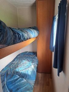 Ulinia Wilcza 4 niebieski