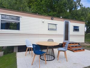 Ulinia Wilcza 4 niebieski