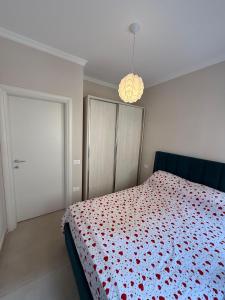 Ilir Daily Rent