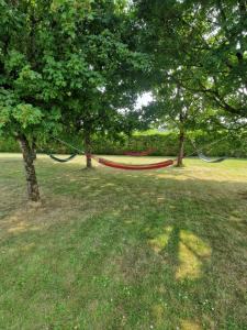 Maisons de vacances Maison dans le Perigord vert : photos des chambres