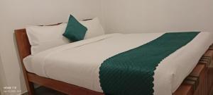 Hills Dale ooty 3 bhk vintage tea estate villa