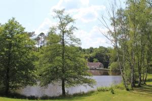 Maisons de vacances Le pecheur : photos des chambres