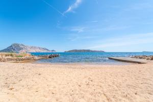 Fiokky by DomusAway img29