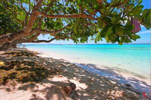 Adrianas Place Tropical Guesthouse