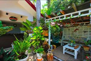 Adrianas Place Tropical Guesthouse