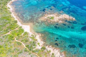 Volpe by DomusAway img19