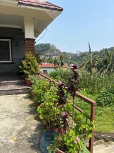 Unmani Yoga Retreat Pokhara