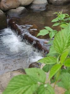 Relax Island Guesthouse