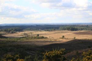 Modern 4BR Family Home New Forest Pet Friendly