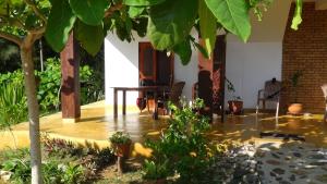 Tropical Garden