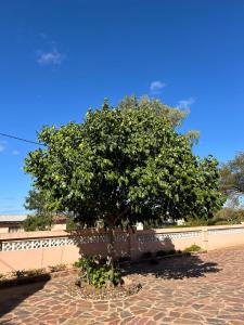 Agago Boon Guest house