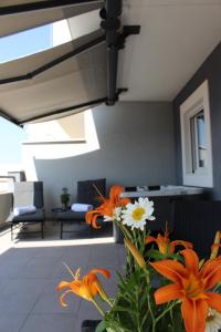 apartman Relax