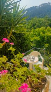 Casa al Castello fra Mare e Storia