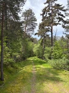 Alojamiento esqui montaña Cofiñal