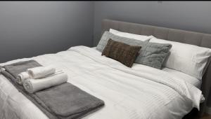 Blissful Nest - Cozy, Classy 2 Bedroom Private Suite Netflix, free Parking, 20 minutes to West Edmonton Mall and Airport