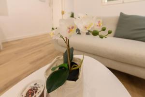 1 bedroom apartment in the center of Madrid Temporary GDO41