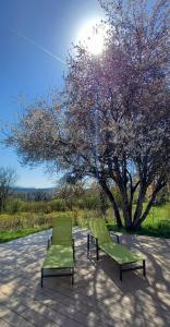 La Villa Lions I Parking - 8p - Vue nature