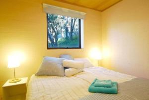 KILIMANJARO ALPINE APARTMENTS 3 BEDROOM Apartment